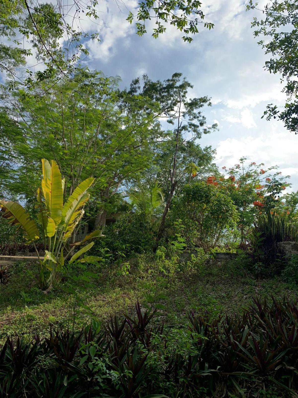 El Encanto - Hotel Boutique Chichen Itza Luaran gambar