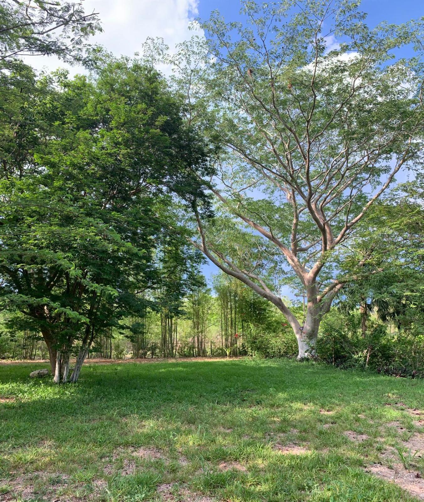 El Encanto - Hotel Boutique Chichen Itza Luaran gambar