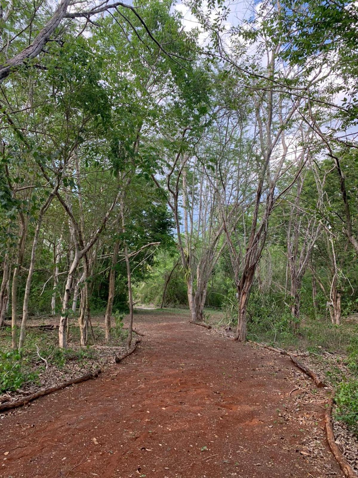 El Encanto - Hotel Boutique Chichen Itza Luaran gambar